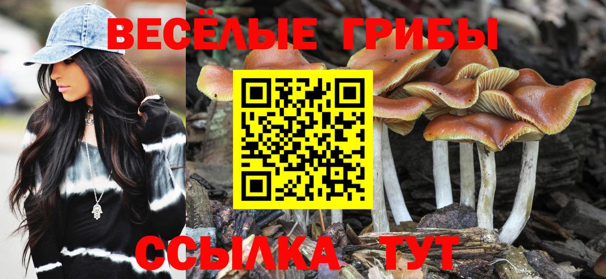 Галлюциногенные грибы MAGIC MUSHROOMS Городец